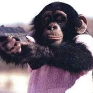 Meet your Posher, Jack